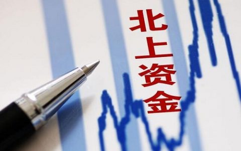 永鼎股份股票
