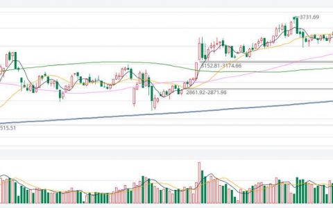 国泰君安网上模拟炒股